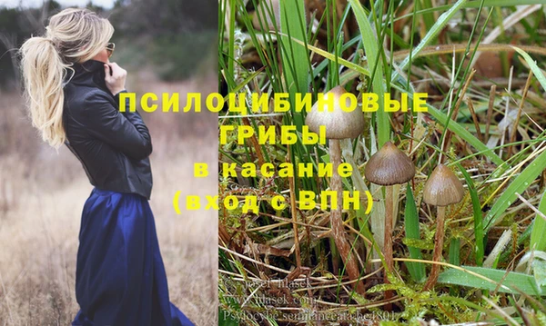 винт Магас