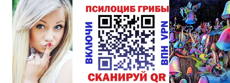 дарнет шоп  Советский  Псилоцибиновые грибы Psilocybine cubensis 